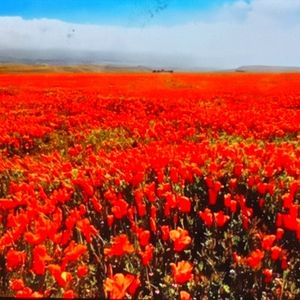 Meet your Posher, Karla